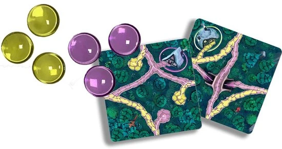 White Goblin Games Gezelschapsspel Fairy Trails - Afbeelding 7