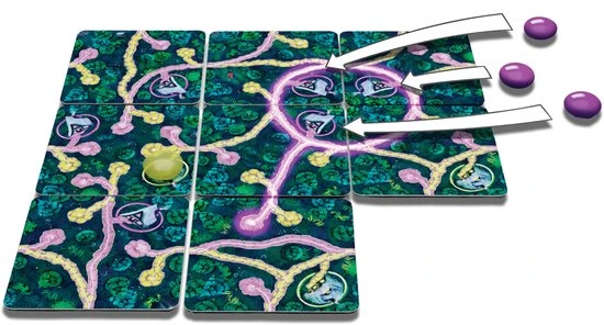 White Goblin Games Gezelschapsspel Fairy Trails - Afbeelding 4