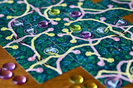 White Goblin Games Gezelschapsspel Fairy Trails - Afbeelding 3