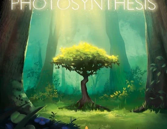 Blue Orange Gaming Photosynthesis - Afbeelding 3