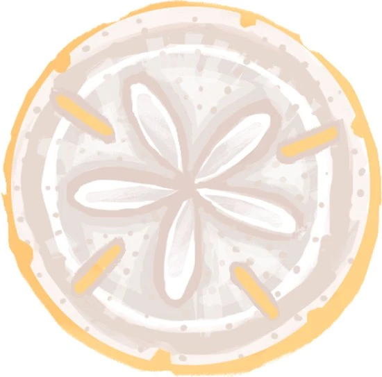 Plan B Games Maui - Bordspel - Nederlandstalig - Afbeelding 14