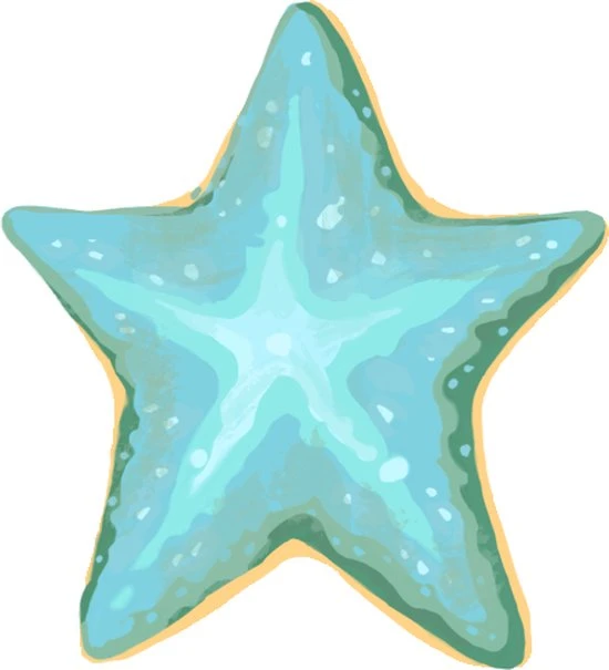 Plan B Games Maui - Bordspel - Nederlandstalig - Afbeelding 13