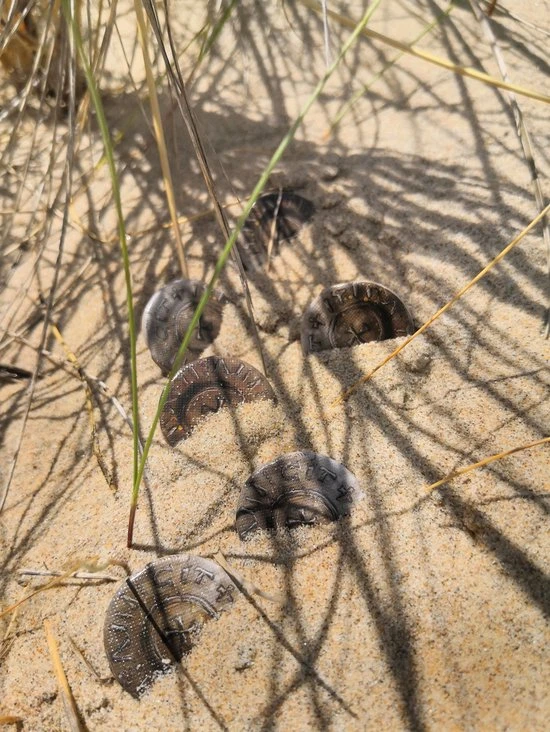 White Goblin Games Rovers Van De Noordzee - Afbeelding 3